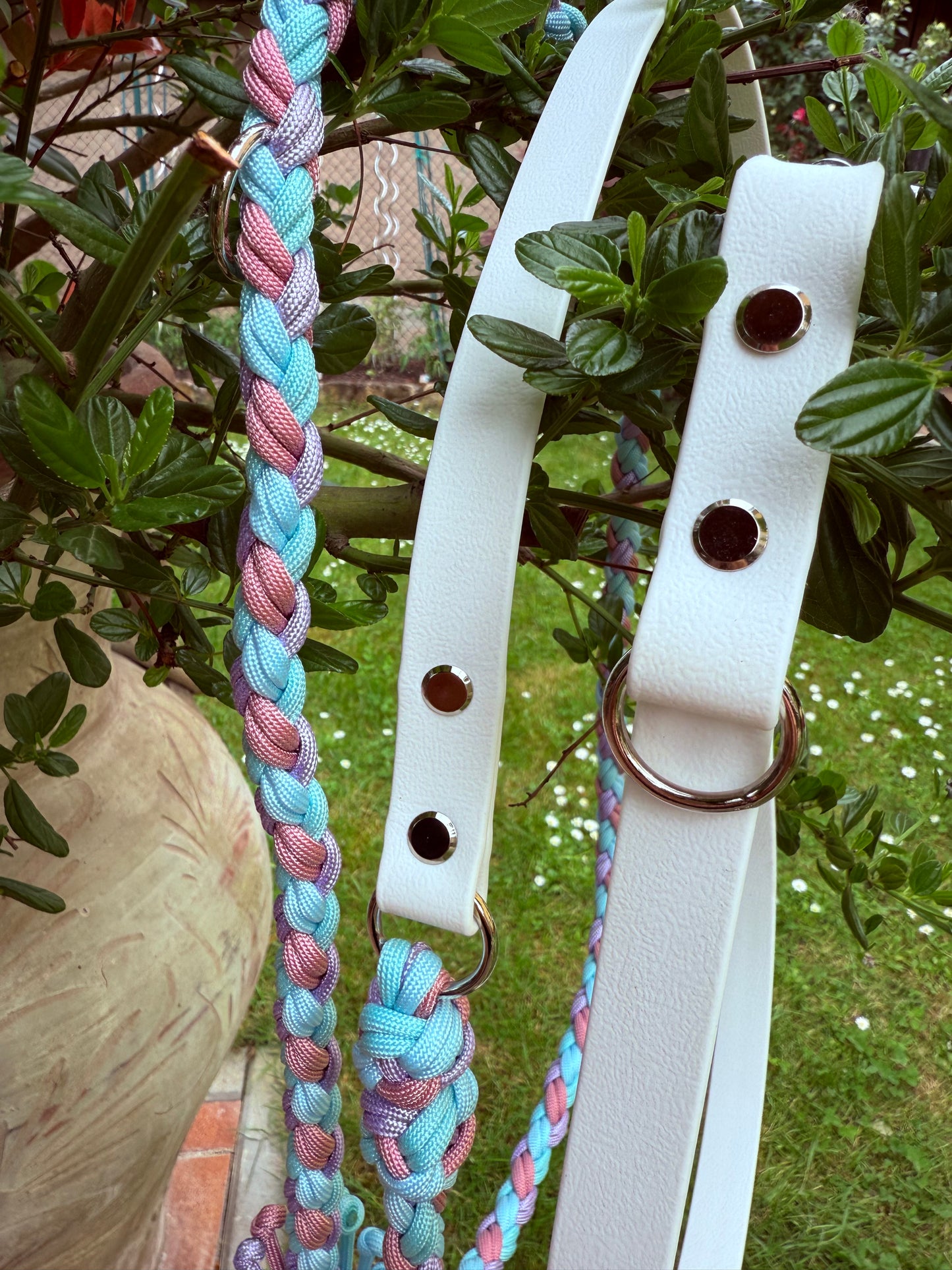 Biothane x Paracord