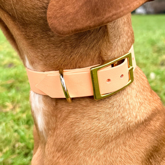 Biothane-Halsband