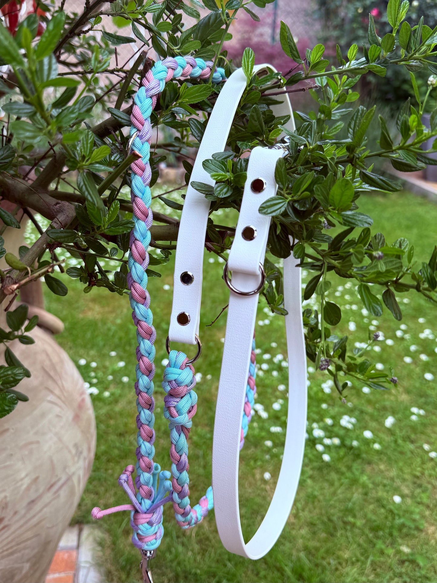 Biothane x Paracord